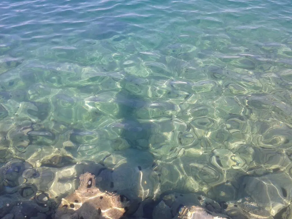 Apartments Bojana Rab Rab Island Supetarska Draga